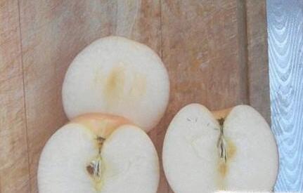 减肥方法一周瘦10斤吃什么菜