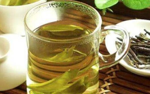 苦丁茶的禁忌：苦丁茶放了10年还能喝吗