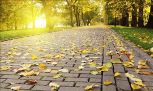 散步有减肥的效果吗 这几个散步技巧助你快速瘦身