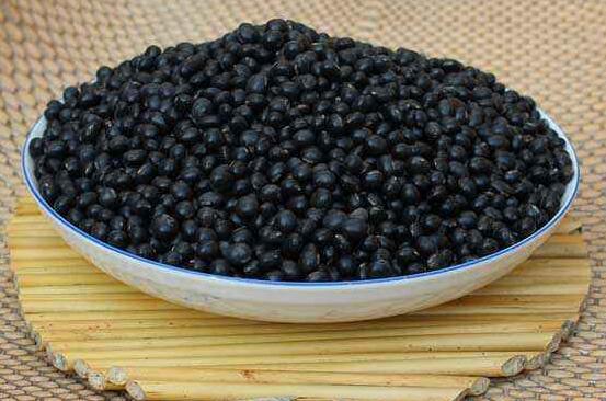 黑豆治疗白发吗？黑豆对白头发有用吗？