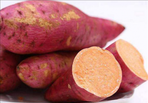 那些运动方法能有效减腹部脂肪 这四个运动让你保持完美的身材