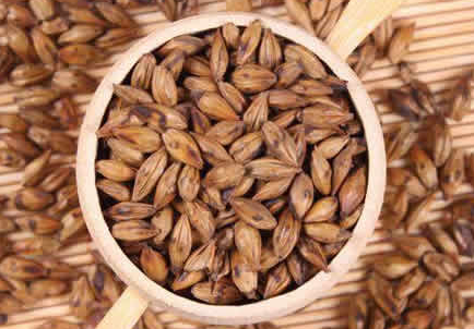 大麦茶放了3年还是好的吗，大麦茶如何存放最佳