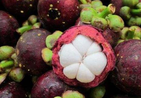 山竹怎么吃，山竹里面的核能吃吗