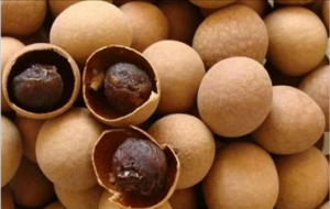 女人阳虚吃什么怎么调理最快 这八种食物可以重点关注