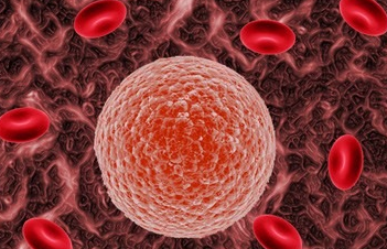 淋巴细胞百分比偏高是什么意思