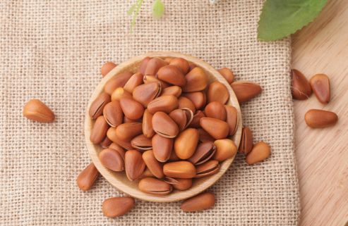 松子的功效与作用，松子的营养价值