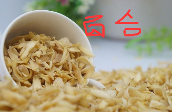 百合的功效与作用是什么？