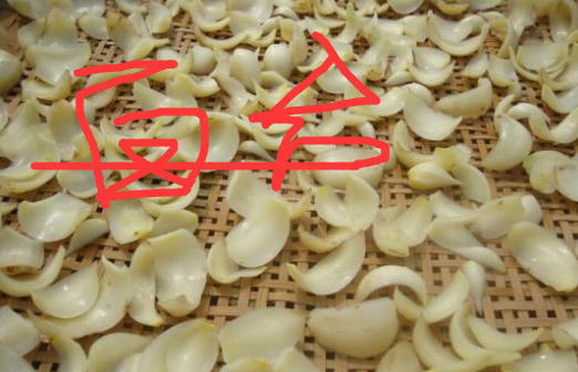 百合的功效与作用是什么？