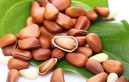 松子的功效与作用，松子的营养价值