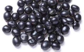 黑豆的功效与作用是什么？