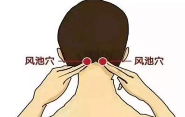 风池穴的作用，风池穴的准确位置图