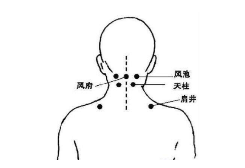 风池穴的作用，风池穴的准确位置图