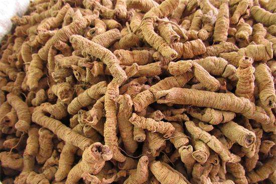 巴戟天泡水喝的功效,巴戟天的最佳配伍