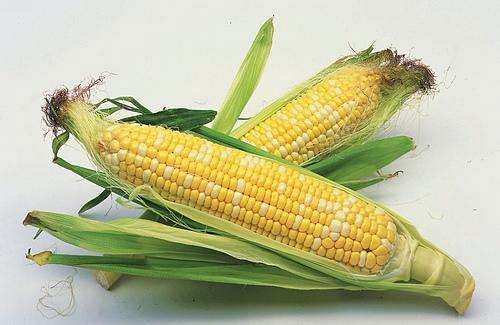 煮玉米水的功效与作用