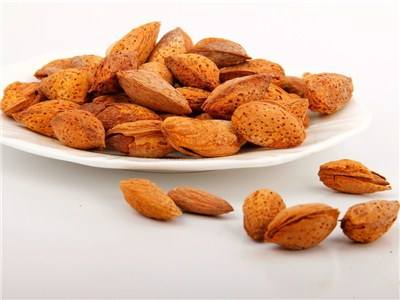 杏仁不能和什么同吃？