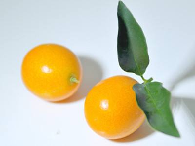 金桔的功效与作用，金桔止咳的做法