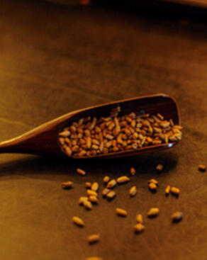 大麦茶可以泡几次 大麦茶致癌 大麦茶可以泡几次 大麦茶致癌