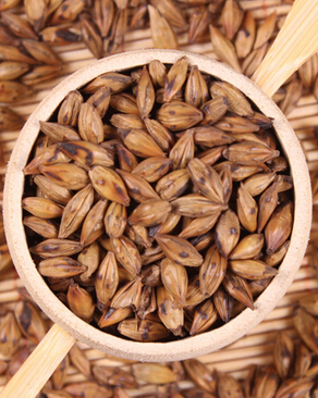 大麦茶的作用 大麦茶饮用禁忌