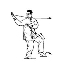 太极拳24式图解，24式太极拳分解教学