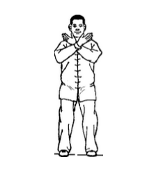 太极拳24式图解，24式太极拳分解教学