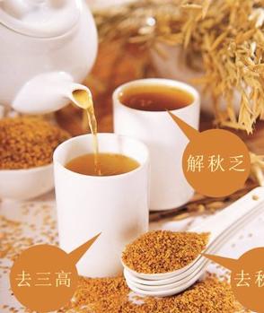 苦荞茶 黑苦荞茶的作用有哪些