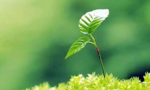 一年之计在于春,不得不知的春季养生常识