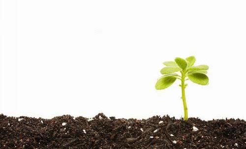 一年之计在于春,不得不知的春季养生常识