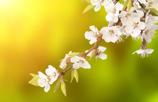 春季养生谨记一少二多三捂四宜 少生病更健康