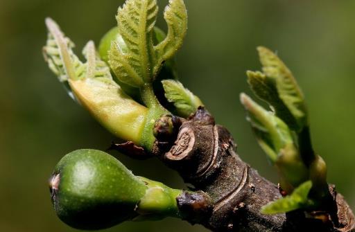春季养生谨记一少二多三捂四宜 少生病更健康
