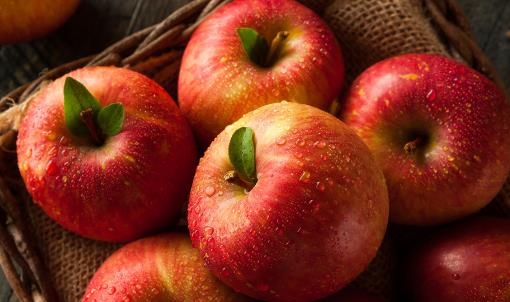 敲打经络养生 推荐给你新潮的排毒方法