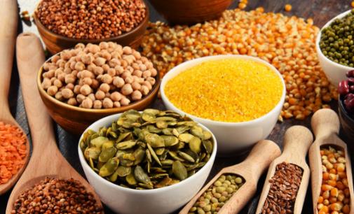 能够长寿日常应做到的措施 长寿养生的健康法则