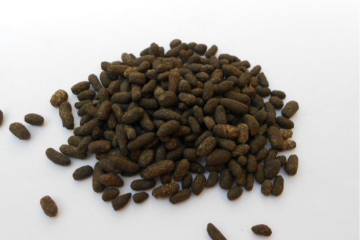 五灵脂的功效与作用，五灵脂价格是多少？