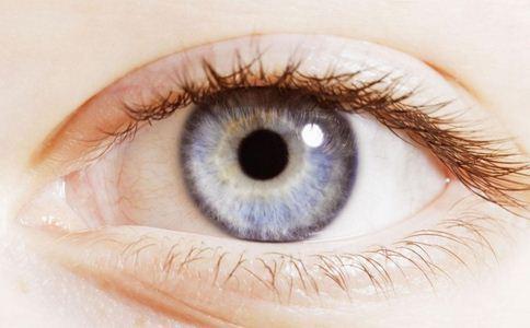 眼睛需要的营养素,哪些食物对眼睛好