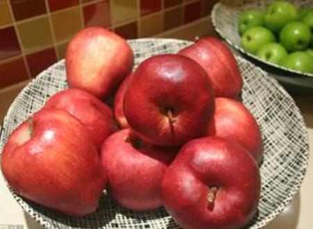 蛇果和苹果的营养价值有什么区别