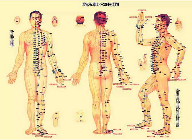 人身体有多少穴位？