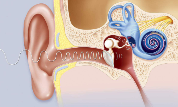 耳朵里面痒是怎么回事？耳朵痒最简单的方法