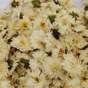 夏天感冒了怎么办？防治夏天感冒的小秘方