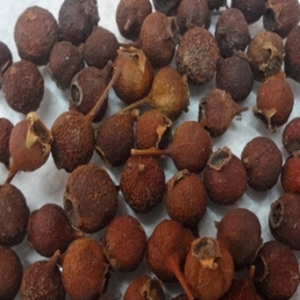 夏天感冒了怎么办？防治夏天感冒的小秘方