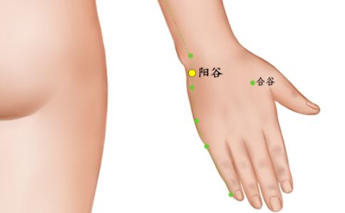 阳谷穴的准确位置图以及作用