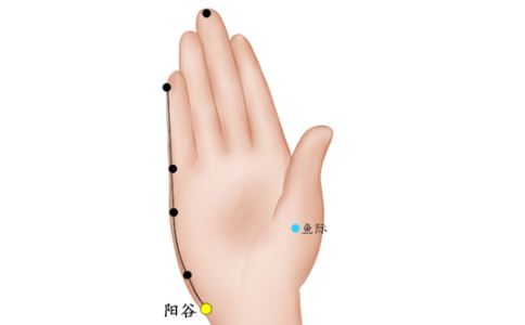 阳谷穴的准确位置图以及作用