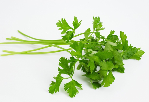 香菜的功效与作用