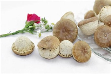 壮阳果的功效与作用，壮阳果食用方法与禁忌