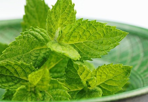 喉咙不舒服吃什么好？