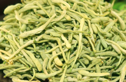 喝金银花茶有什么好处和坏处，金银花茶的副作用