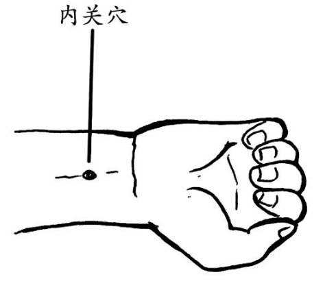 内关穴位的准确位置图和作用