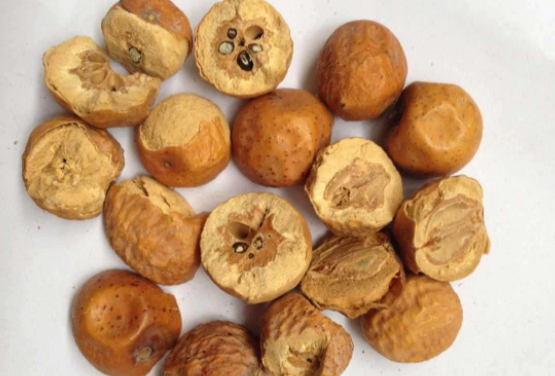 川楝子的功效与作用,川楝子怎么读,川楝子图片