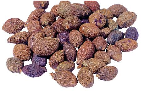 胖大海的功效与作用