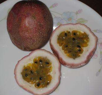 百香果种植多久才结果？