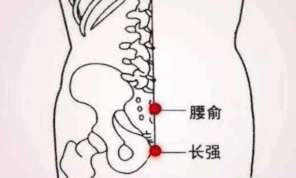 腰俞穴的作用与功效，腰俞的准确位置图