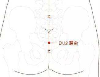 腰俞穴的作用与功效，腰俞的准确位置图